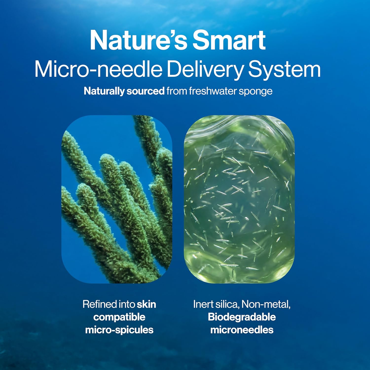 Advanced Hair Density Roll-On Serum